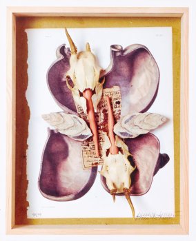 Plakat für Rendsburg