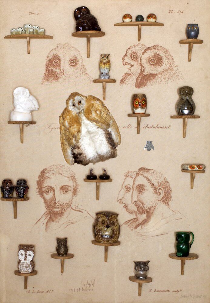 Carnaval des animaux