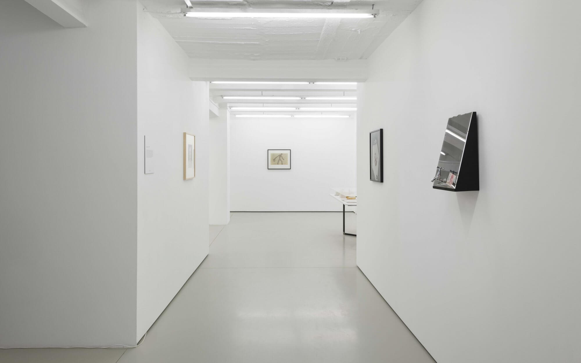 Installation views © Trevor Good