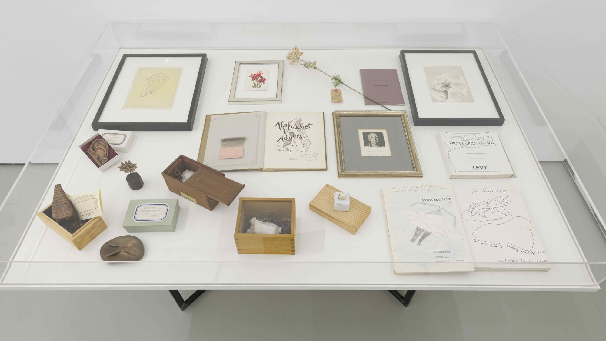 Installation views © Trevor Good