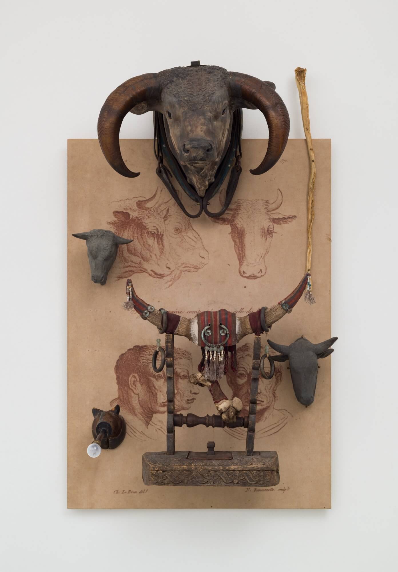 Carneval des Animaux - Figure humaine comparée avec celle du boeuf