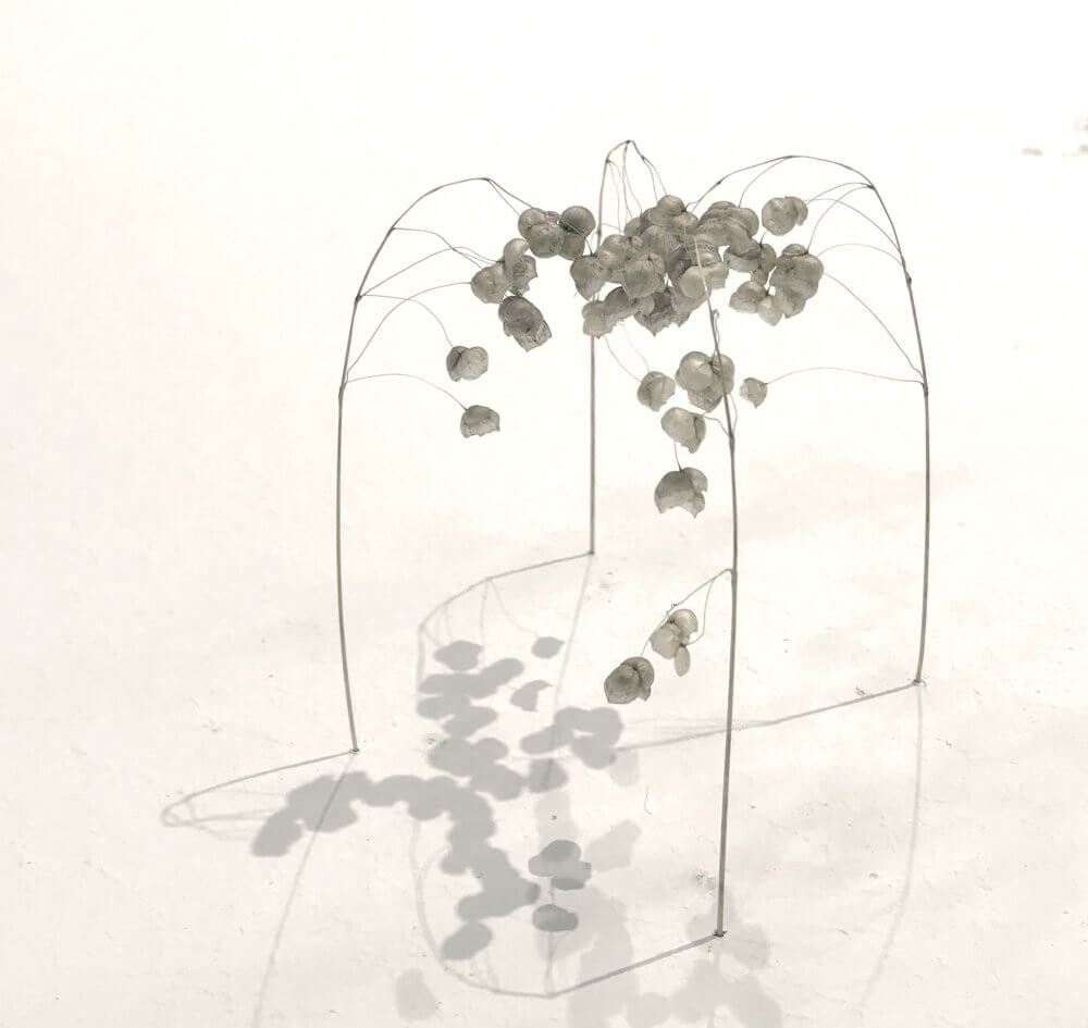 Kleine Gräserkuppel (Little Grass Dome)