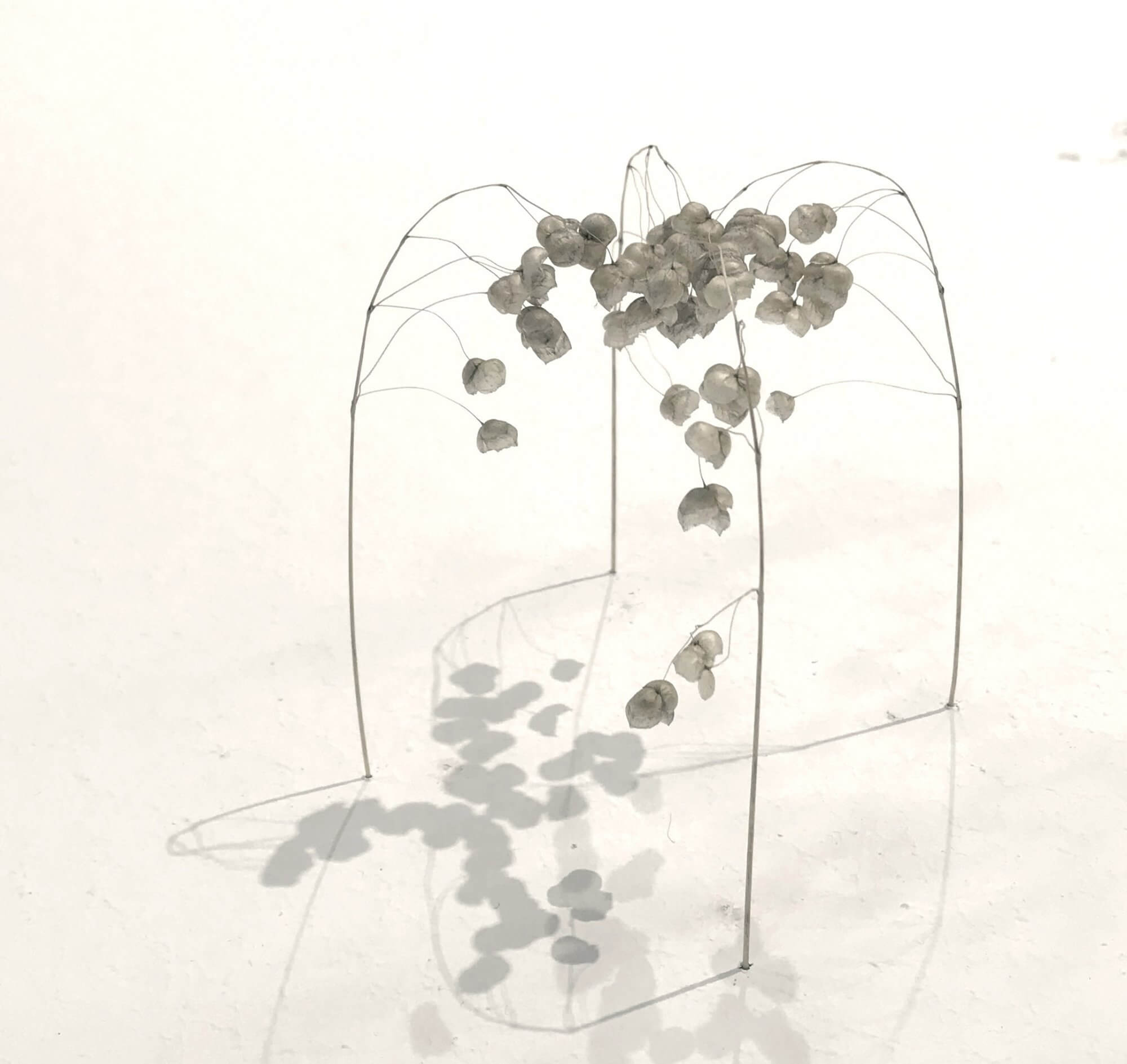 Kleine Gräserkuppel (Little Grass Dome)