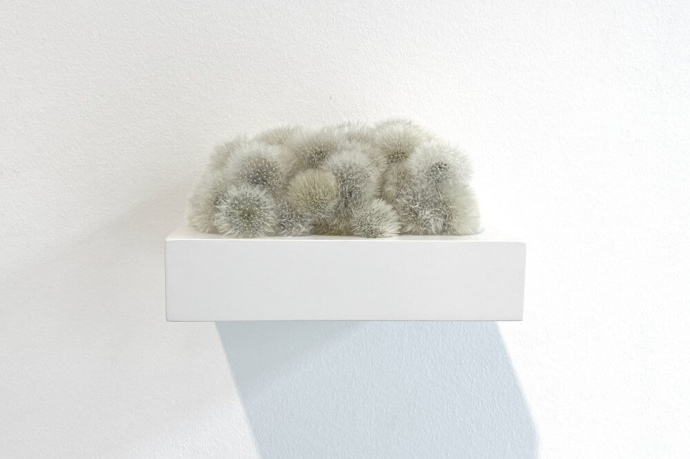 Kleines Löwenzahnkissen (Little Dandelion Cushion)