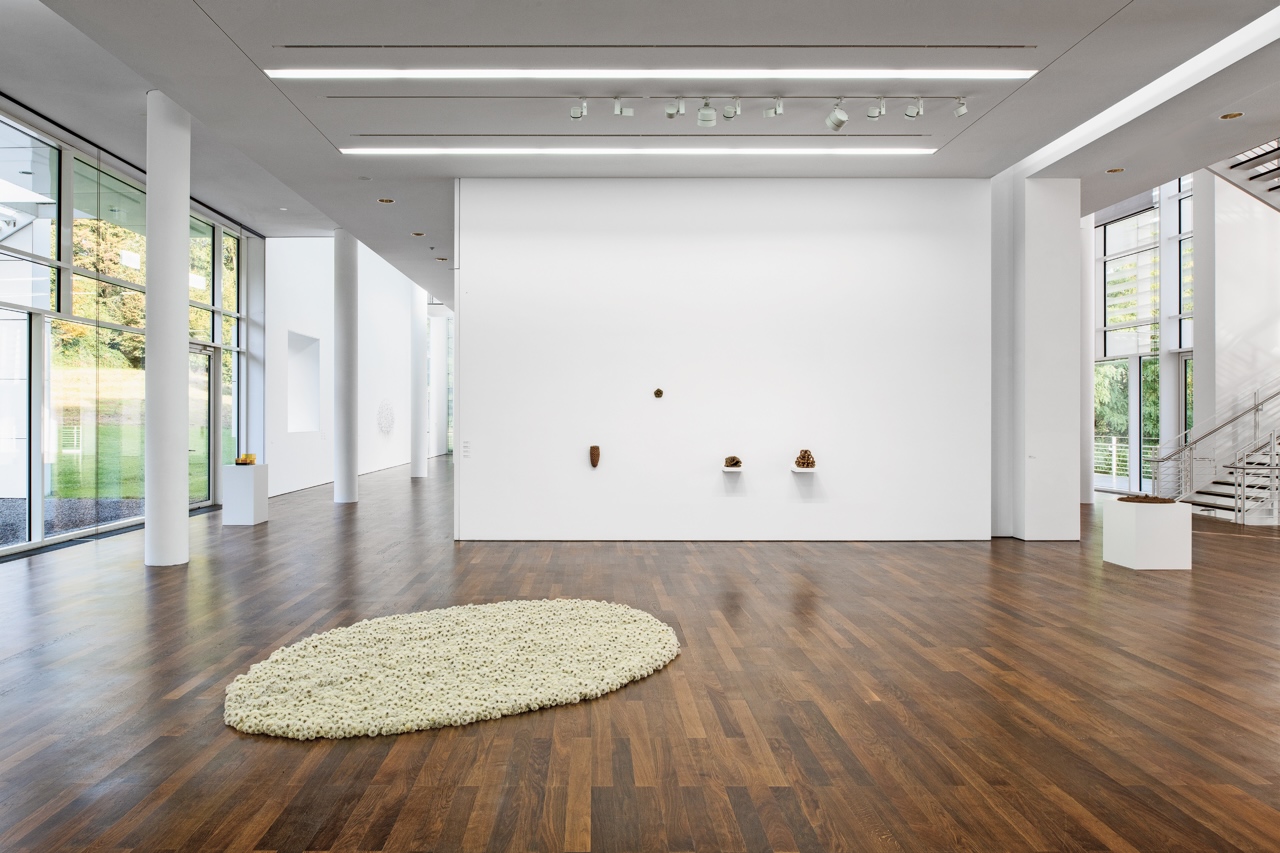 Symmetrie des Sachten, Arp Museum Bahnhof Rolandseck, 2023-24 