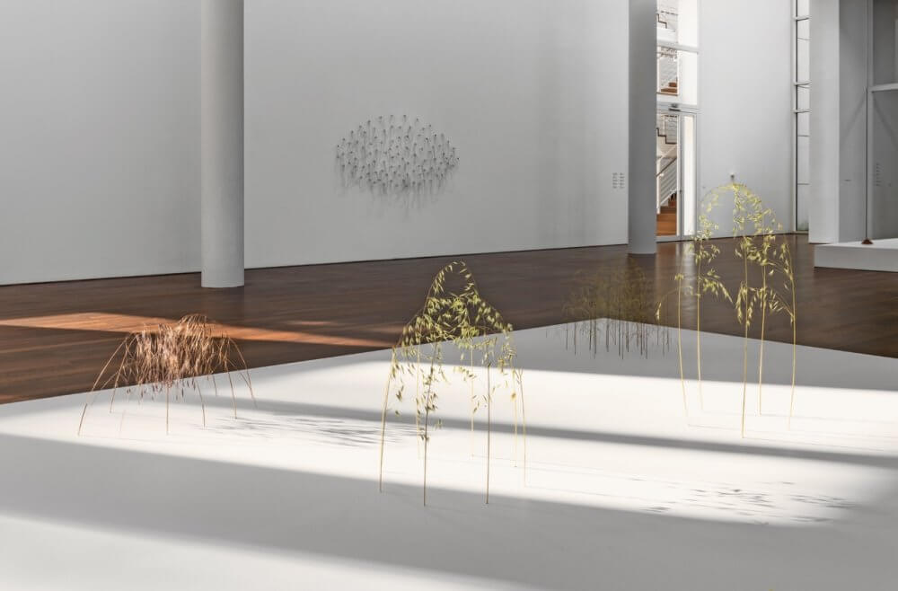 Symmetrie des Sachten, Arp Museum Bahnhof Rolandseck, 2023-24 