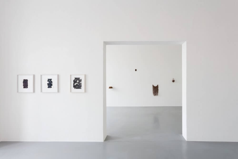 Gallery of Contemporary Art and Architecture - House of Art Ceské Budejovice, Budweis, 2022