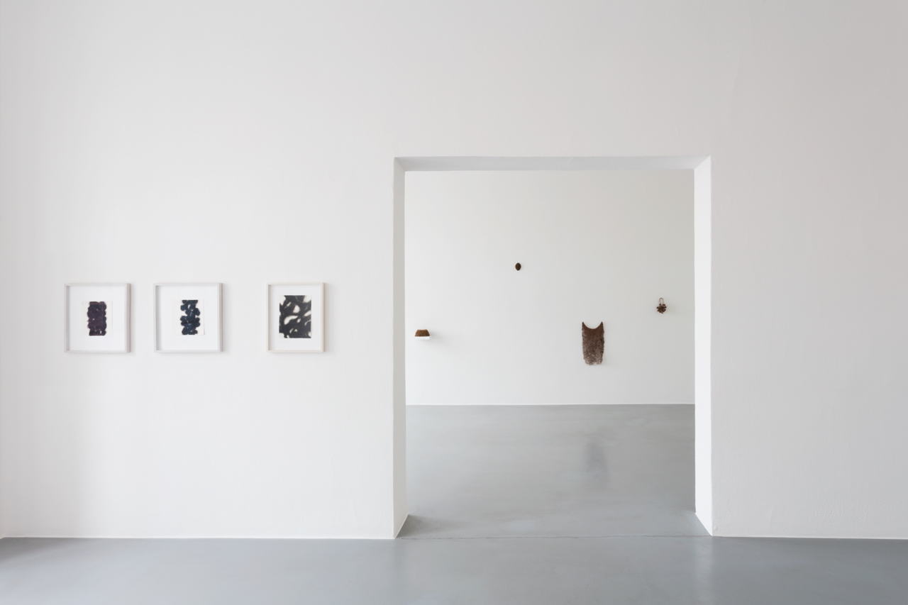 Gallery of Contemporary Art and Architecture - House of Art Ceské Budejovice, Budweis, 2022