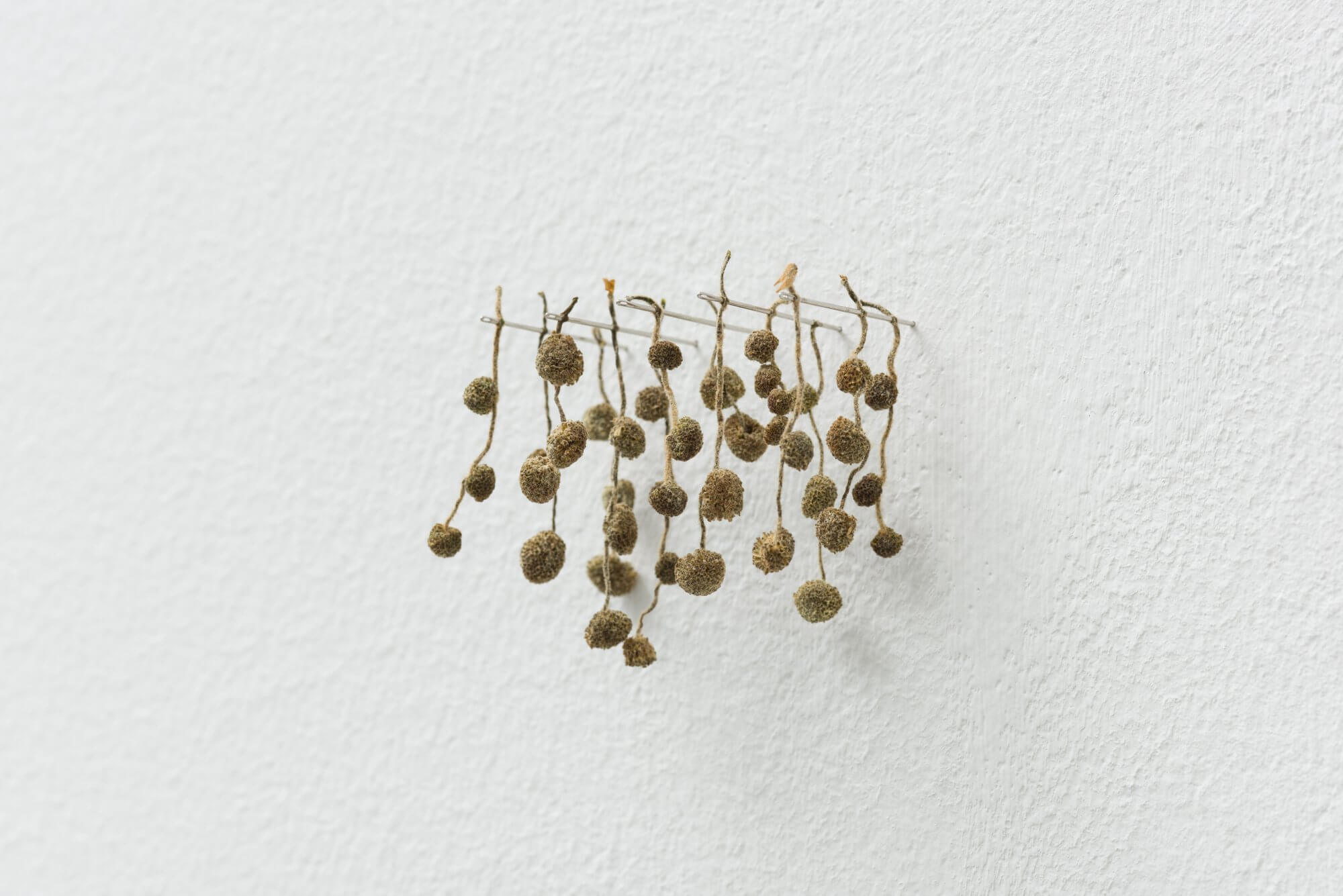 Kleines Gehänge (Little Pendant)