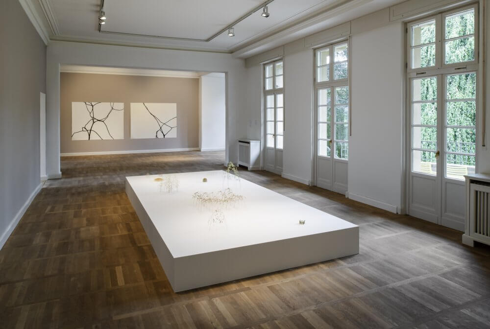 Ordnung der Wildnis, Haus am Waldsee, Berlin 2021