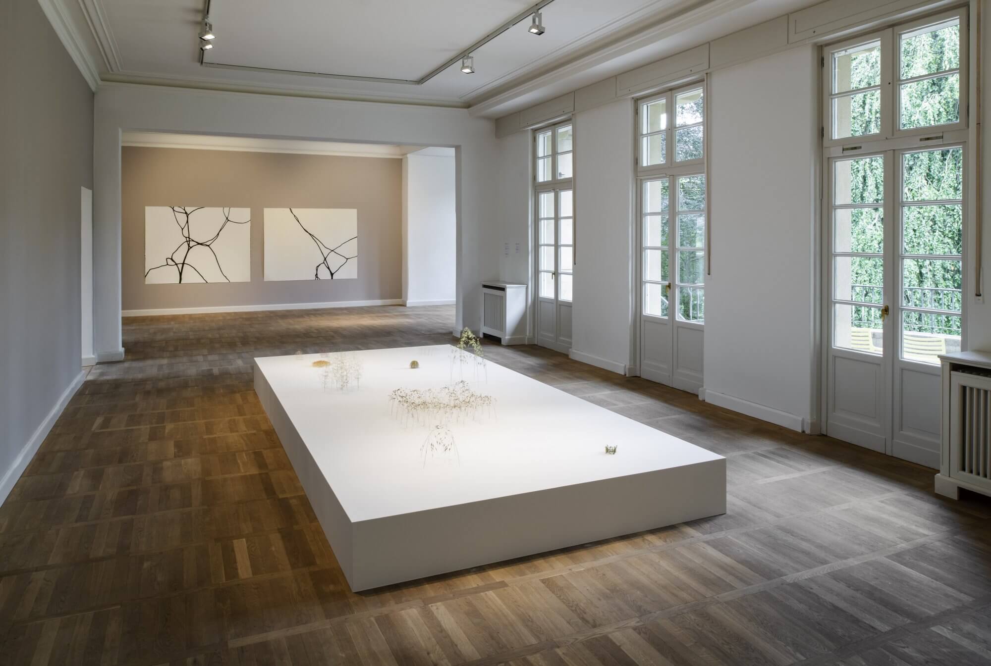 Ordnung der Wildnis, Haus am Waldsee, Berlin 2021
