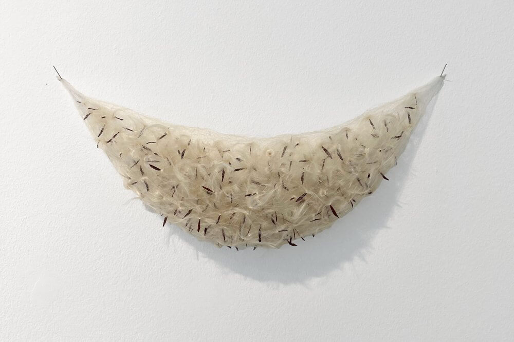 Kleiner Samenbeutel (Little Seed Bag)